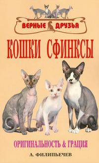 Кошки сфинксы