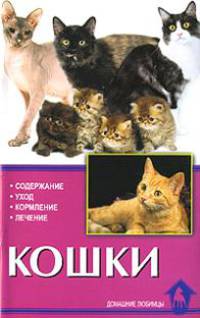 Кошки