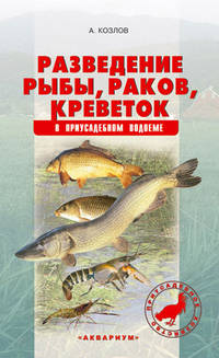 Разведение рыбы, раков, креветок в приусадебном водоеме
