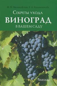 Секреты ухода. Виноград в вашем саду.