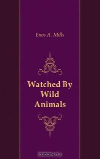 Watched By Wild Animals