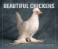 Beautiful chickens