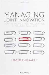 Managing Joint Innovation: How to balance trust and control in strategic alliances