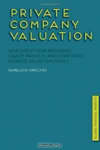 Private Company Valuation: How Credit Risk Reshaped Equity Markets and Corporate Finance Valuation Tools (Global Financial Markets)