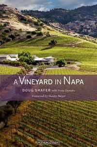 A Vineyard in Napa