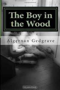 The Boy in the Wood (Volume 1)