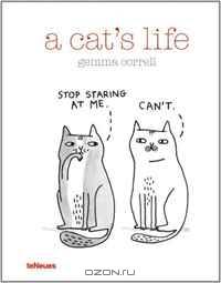 A Cat