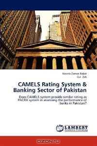 CAMELS Rating System & Banking Sector of Pakistan: Does CAMELS system provide similar rating as PACRA system in assessing the performance of banks in Pakistan?