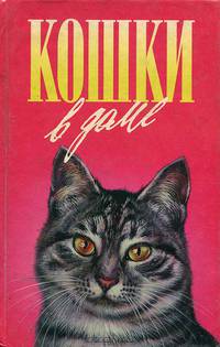 Кошки в доме