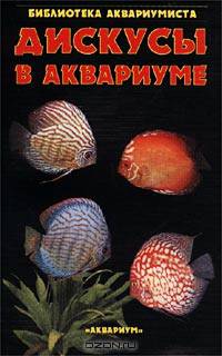 Дискусы в аквариуме