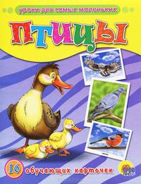 Обучающие карточки " Птицы"