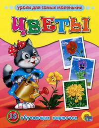 Обучающие карточки "Цветы"