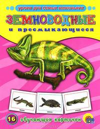 Обучающие карточки. Земноводные и пресмыкающиеся (16 карточек)