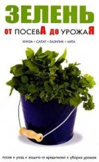 Зелень. Кинза, салат, базилик, мята: Посев. Уход. Защита от вредителей. Уборка урожая