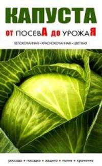 Капуста. Белокачанная, краснокачанная, цветная: Рассада, посадка, защита, полив, хранение