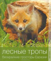Лесные тропы. Бескрайние просторы Евразии