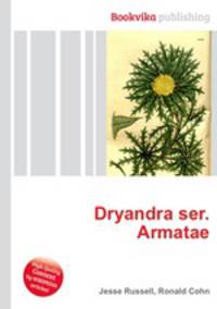 Dryandra ser. Armatae