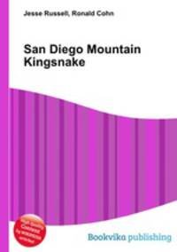 San Diego Mountain Kingsnake