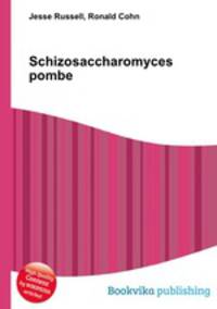 Schizosaccharomyces pombe