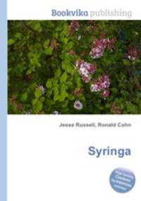 Syringa