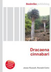 Dracaena cinnabari