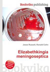 Elizabethkingia meningoseptica