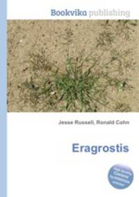 Eragrostis