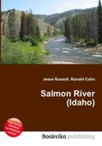 Salmon River (Idaho)