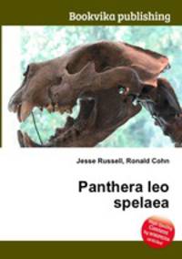 Panthera leo spelaea