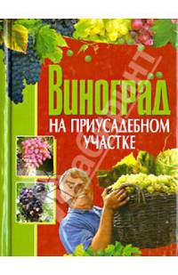 Виноград на приусадебном участке