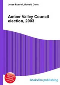 Amber Valley Council election, 2003