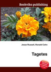 Tagetes