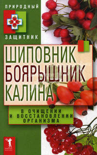 Природный защитник.Шиповник, боярышник, калина в очищении и восстановлении организма