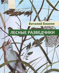 Лесные разведчики
