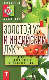 Золотой ус и индийский лук для здоровья и долголетия