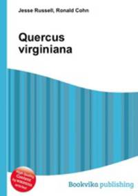 Quercus virginiana
