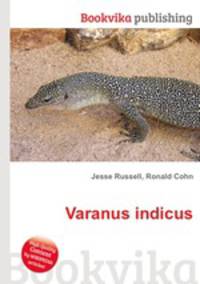 Varanus indicus