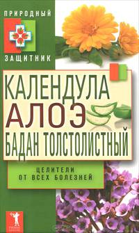 Природный защитник. Календула, алоэ и бадан толстолистный - целители от всех болезней