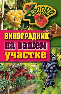 ЧетыреСезона.Виноградник на вашем участке