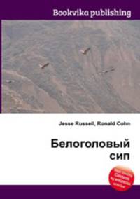 Белоголовый сип
