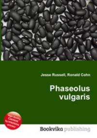 Phaseolus vulgaris