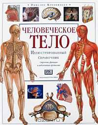 Человеческое тело. Иллюстрированный справочник. Строение, функции и заболевания организма
