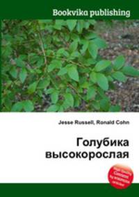 Голубика высокорослая