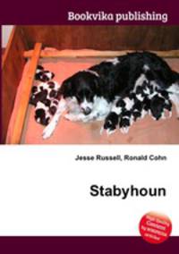 Stabyhoun