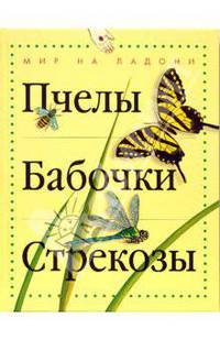Пчелы, бабочки, стрекозы