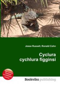 Cyclura cychlura figginsi