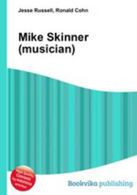 Mike Skinner (musician)