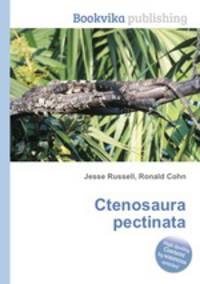 Ctenosaura pectinata