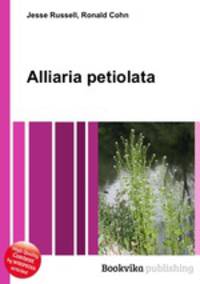 Alliaria petiolata