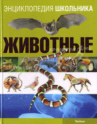 Животные. Энциклопедия школьника